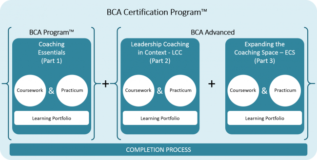 BCA Certification Program Visual - Expanded - Fall 2015